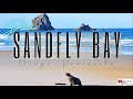 Sandfly Bay | New Zealand's Stunning Beaches | Dunedin NZ