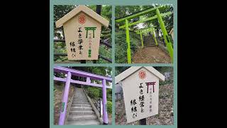 足利織姫神社♡♡♡