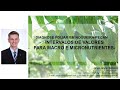 20 - Como interpretar um laudo de análise foliar para Nogueira-pecan