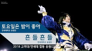 [2018 고려대/연세대 합동응원OT] 토요일은 밤이 좋아 \u0026 흔들흔들