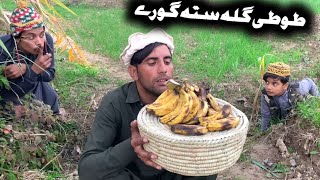 Tuti Gulla Sata Ghorey Pashto New Funny Video 2024 by Tuti Gull Official