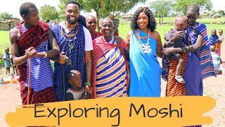 Affordable Day Tour In Moshi Feat. Daily Expeditions Ltd.