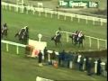 Cheltenham Memories 1996