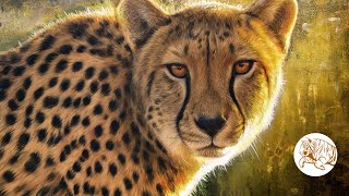 'The Golden Hour' Acrylic Cheetah Painting