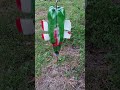 water bottle wind generator windmill #76volt #diycrafts #windmill #fypシ゚viral #foryou