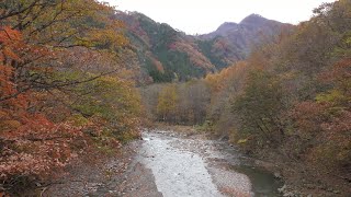 【秋の一人旅 2017】 #2 奥秩父の中津峡は紅葉名所！秋の渓谷美をこの目に (4K Ultra HD)