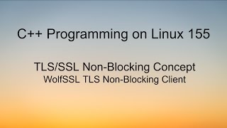C++ Programming on LInux - WolfSSL TLS Nonblocking client example