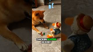 Puppy Tries to Outsmart Toy Chicken #dog #shorts #pets #cuteanimals