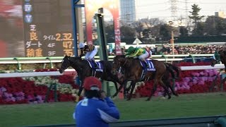 【４Ｋ、現地撮影、高音質】第６１回有馬記念（ＧⅠ）優勝馬サトノダイヤモンド