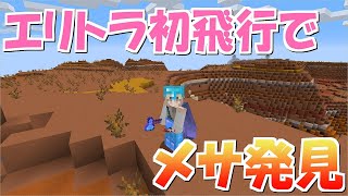 【マインクラフト】 #28 エリトラで空の旅！メサを発見！