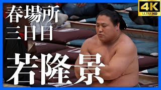 【若隆景 - 紫雷】大相撲 春場所 三日目。強烈ッ！？ねじ込むスピードとは…【三月場所｜大阪場所 sumo】Wakatakakage Osaka 2024