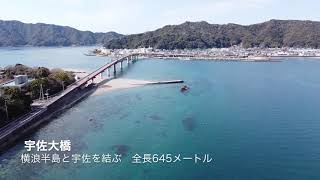 土佐市宇佐の海