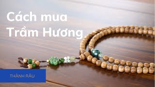 CÁCH MUA TRẦM HƯƠNG TỰ NHIÊN ĐÚNG THEO Ý MUỐN | TẬP 12