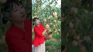 Beautiful Nature with Rural Life (P116) - Summer delicious fruit