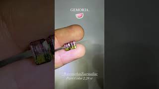 #ทัวร์มาลีน #พลอยสองสี #gemoria #tourmaline #พลอยแปลก #พลอย #พลอยแท้ #พลอยสวย #แหวนพลอย #ของขวัญ