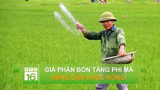 Giá phân bón tăng phi mã, nông dân khóc ròng | VTC16