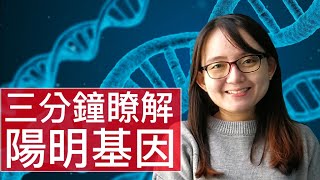 [3 分鐘精華篇] 國立陽明大學 | 生命科學系暨基因體科學研究所 | 黃愉晴