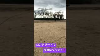 ロングリードを愛犬を運動させた #ボーダーコリー #shorts #ペット