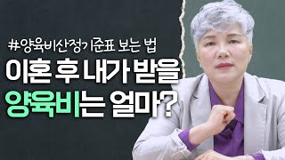 내가 받을 양육비는 얼마?