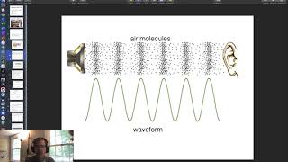 MUS 1070 - Week 1: Acoustics