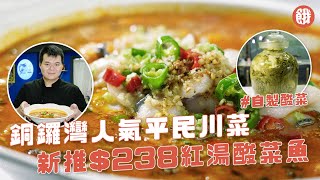 銅鑼灣美食｜人氣平民川菜 新推$238紅湯酸菜魚 酸爽濃鮮 自家醃山東芥菜 (#餓底TV #香港美食)