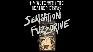 Heather Brown Sensation Fuzzdrive