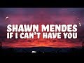 Shawn Mendes - If I Can't Have You (Lyrics)