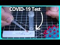 How Does COVID-19 Testing Actually Work?