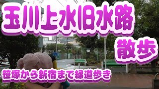 【玉川上水旧水路散歩】Vol.58　緑道をひたすら歩いてみた　街ぶら　おそとだいすき