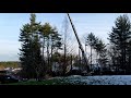 Tree Removal 12-11-2020