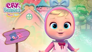 👱🏻‍♀️ ALICE, HAPPY UNBIRTHAY!  🎂 STORYLAND 📖🌈 CRY BABIES 💧 MAGIC TEARS 💕 NEW Season 💖 For KIDS