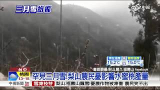 罕見三月雪!梨山農民憂影響水蜜桃產量│中視新聞 20160327