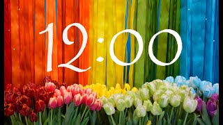 12 Minute Spring Timer