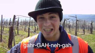 Garganega as Spoken by Tommaso Maule