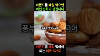 아몬드의 놀라운 효능 5가지