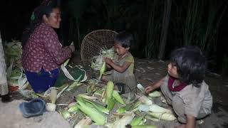 Myvillage official videos EP 1160 || Harvesting system of maize in village