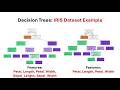 Decision Trees Python Implementation on IRIS Dataset