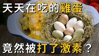 市場裡很多雞蛋都被打了激素？專家告訴你真相，雞蛋應該怎麼買，看完你就全知道了 丨養之道