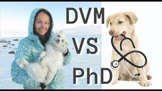 Vet School Vs PhD : My Thoughts