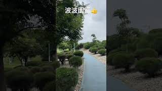 #波波園區#臺中中央公園#