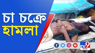 উত্তর দমদমে বিজেপির চা চক্রে হামলা, পুলিশের সামনেই মারধর । TV9 Bangla