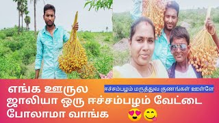 ஈச்சம் பழம் || சின்ன பேரிச்சம் பழம்|Remnant fruit || harvesting tamil ||