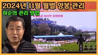 11월 하순, 겨울 응애 방제 작업의 시작