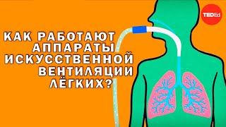 Как работают аппараты искусственной вентиляции легких? [TED-Ed]