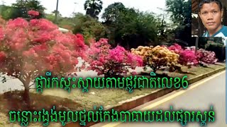 ផ្ការីកស្គុះស្គាយពីរង្វង់មូលថ្នល់កែងបាធាយដល់ផ្សារស្គន់ តាមផ្លូវជាតិលេខ6