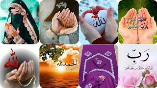 Islamic dp|Dua hands dp| hejab girl's dp|Qur'an dp|praying Mat dp