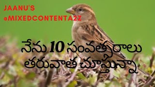 త్వరలో అంతరించిపోతున్న పక్షిజాతి #Goingtoextinctsoon @mixedcontentA2Z