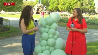 NEWS10 in Your Town: Balloonary