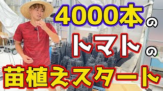 【トマト】トマト農家の1年に1回の大仕事！！ハウスに4000本の苗植え作業全部公開していきます！