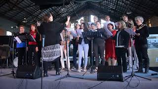 International Jazzwerkstatt Saarwellingen 2017:Open Choir with Barbara Bürkle